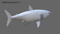 White-Shark-Rigged24